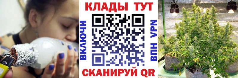 Сколько стоит Луга ГАШ Псилоцибиновые грибы Меф мяу мяу Канабис COCAIN A PVP