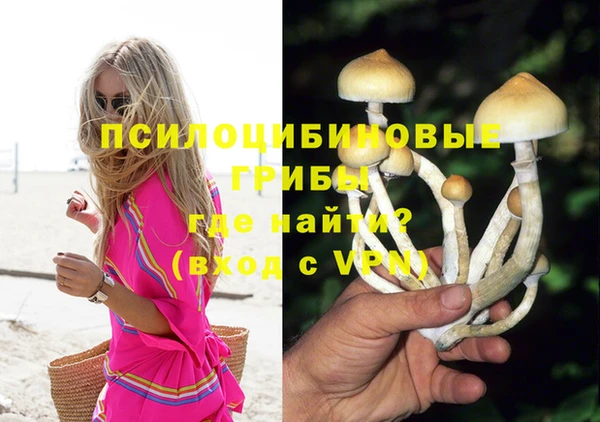 spice Новодвинск