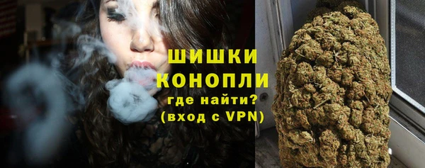 spice Новодвинск