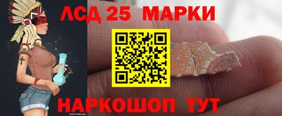 стаф Бийск