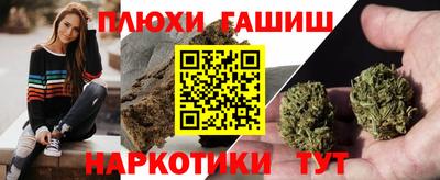 стаф Бийск