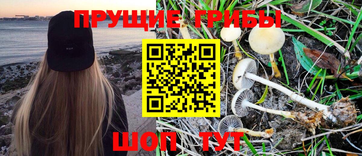 Псилоцибиновые грибы Magic Shrooms  Вход с VPN  Луга 